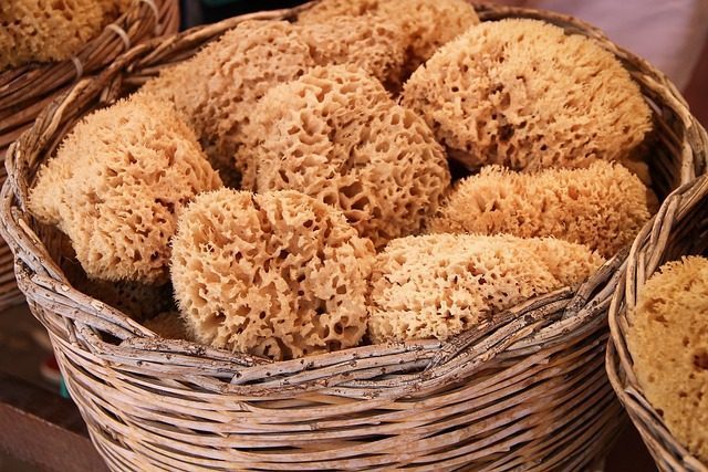 sponges